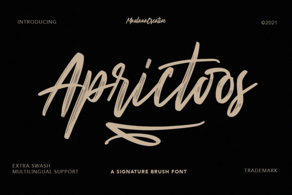 Aprictoos: A Handwritten Font for Modern Web Design