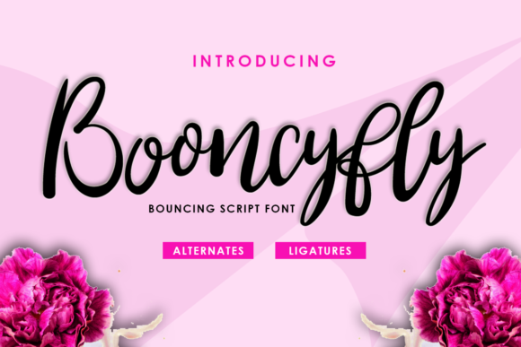 Booncyfly: A Fluid Handwritten Font for Impactful Digital Campaigns