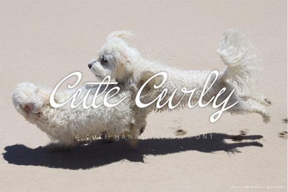 Cute Curly: A Handwritten Font That Brings Charm to Every Craft Project