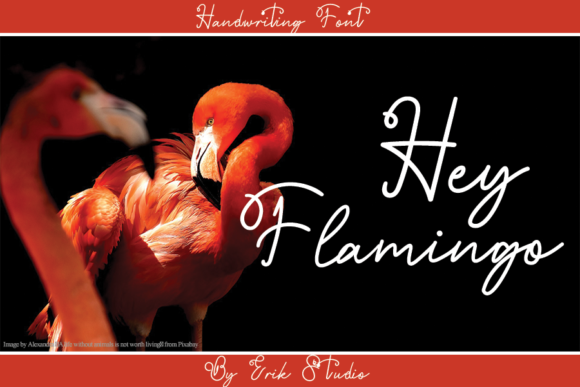 Hey Flamingo: A Handwritten Font That Elevates Digital Marketing Design