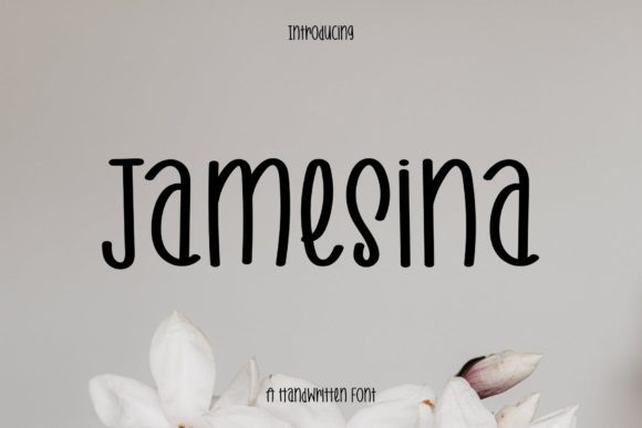 Jamesina: The Handwritten Font for Authentic Campaigns