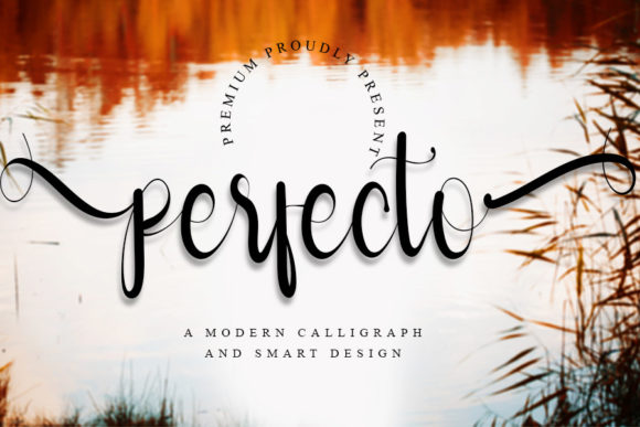 Perfecto: A Whimsical Script Font for Branding