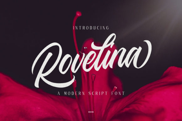 Rovelina: A Modern Script Font for Business Branding