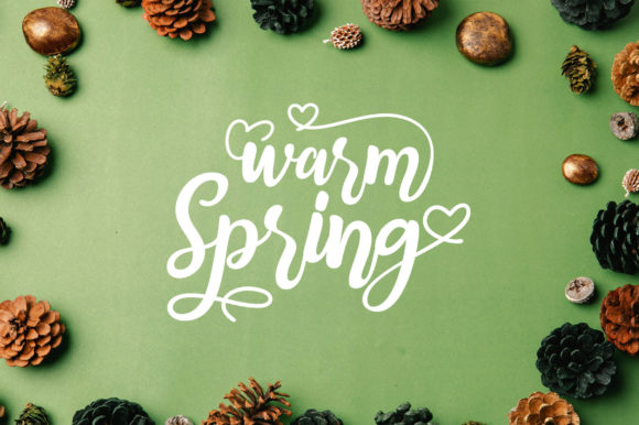 Warm Spring: The Elegant Script Font for Campaigns